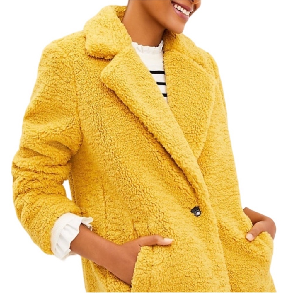 Ann Taylor coat